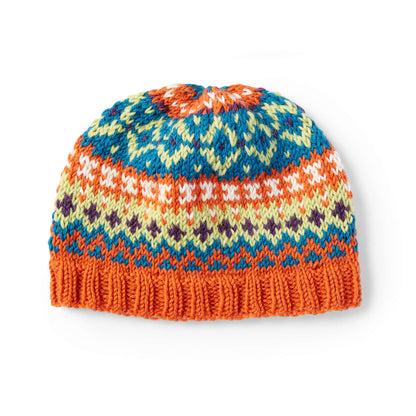 Patons Knit Step 4: Crazy for Color Cap Single Size