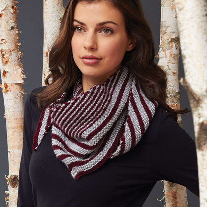 Patons Knit Lana's Scarf Single Size