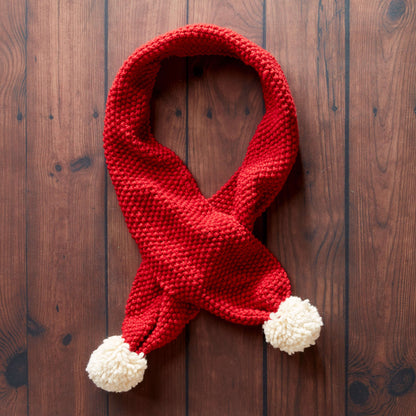 Patons Go to Seed Knit Scarf Single Size