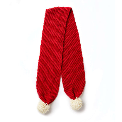 Patons Go to Seed Knit Scarf Single Size