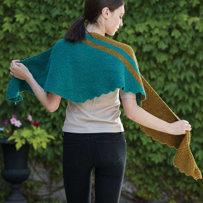 Patons Slash Stripe Knit Shawl Single Size