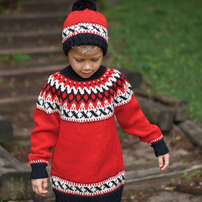 Patons Knit Nordic Yoke Set Pullover