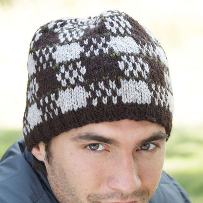 Patons Knit Check Mate Fair Isle Hat Single Size