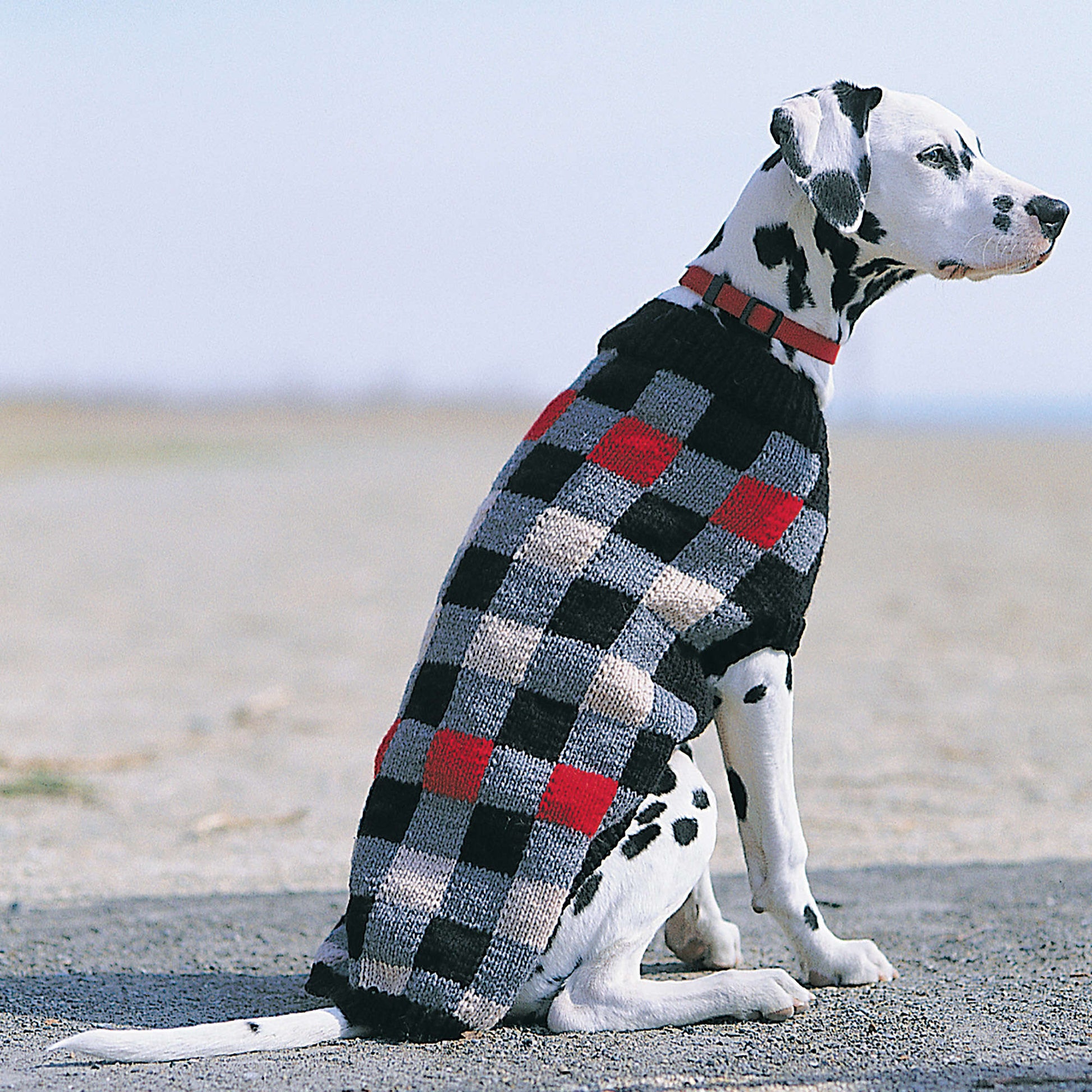 Free Patons Canine Checks Knit Pattern