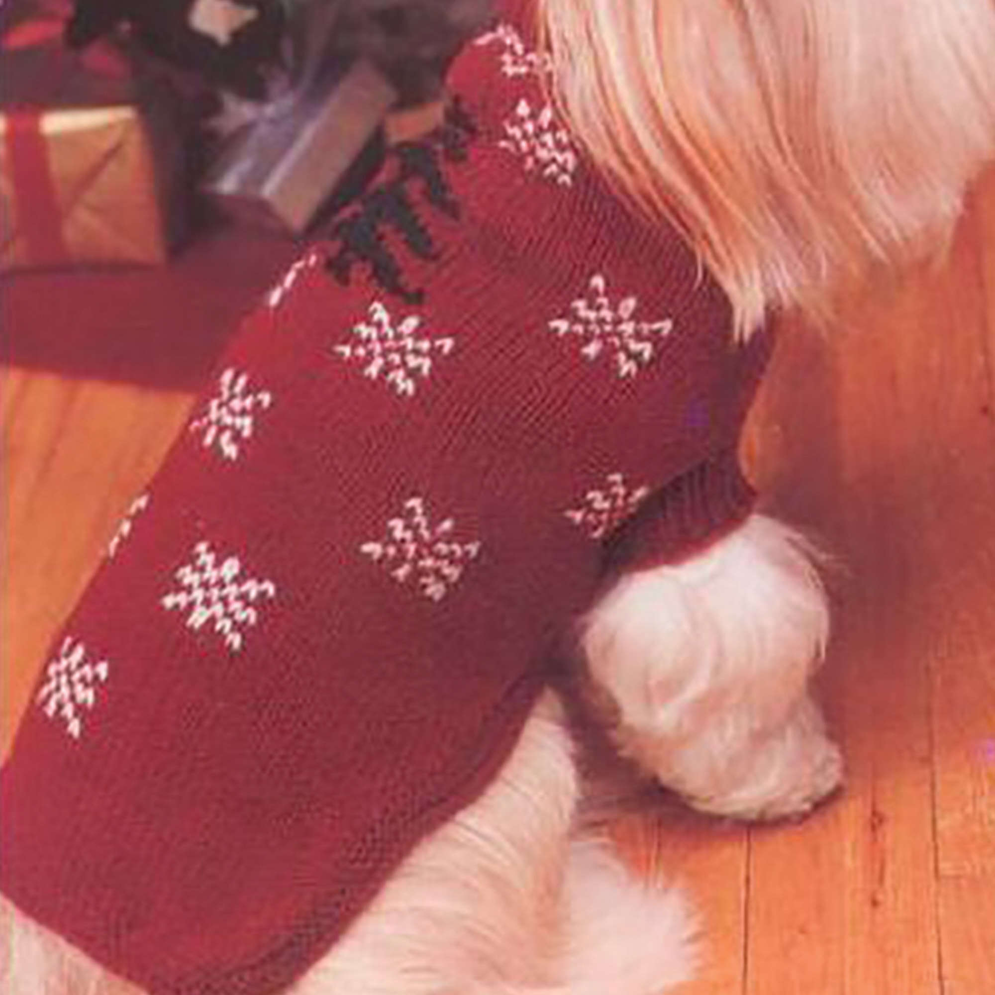 Free Patons Festive Dog Coat Knitting Pattern image