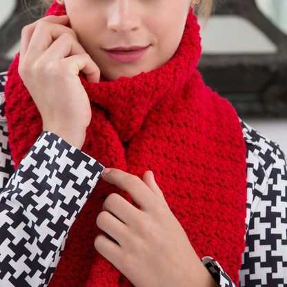 Red Heart Crochet Berry Stitch Scarf Crochet Scarf made in Red Heart Super Saver Yarn
