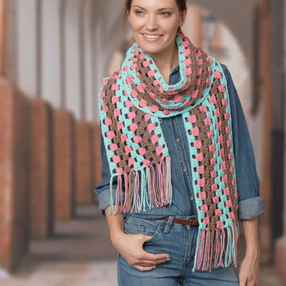 Red Heart Crochet Neapolitan Scarf Crochet Scarf made in Red Heart Super Saver Yarn