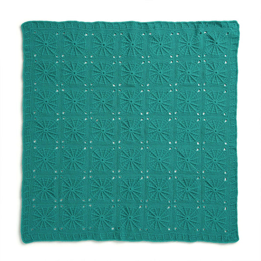 Crochet Throw made in Red Heart Super Saver Yarn