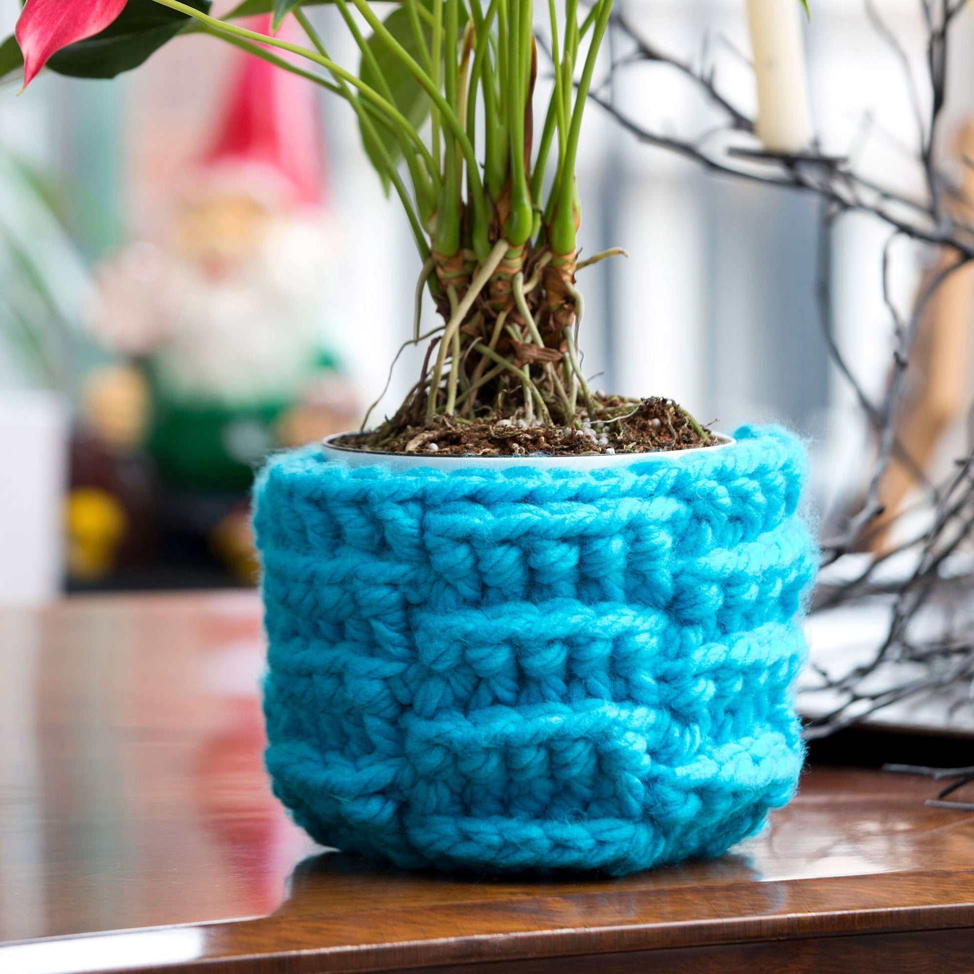 Free Red Heart Crochet Bright Weave Plant Cozy Pattern