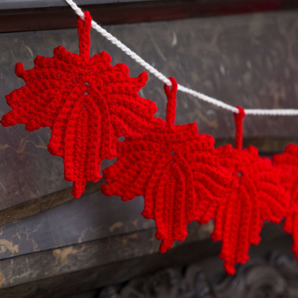 Crochet Banner made in Red Heart Super Saver Yarn