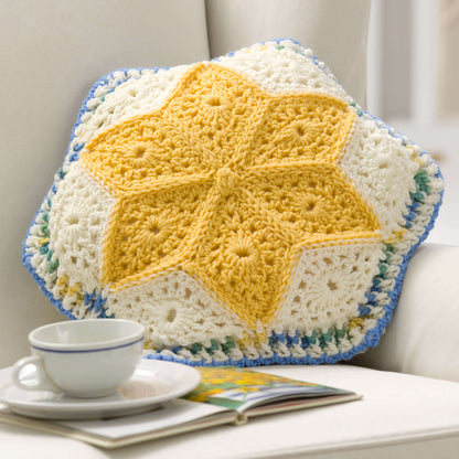 Red Heart Crochet Alaska Snow Flowers Pillow Crochet Pillow made in Red Heart Super Saver Yarn