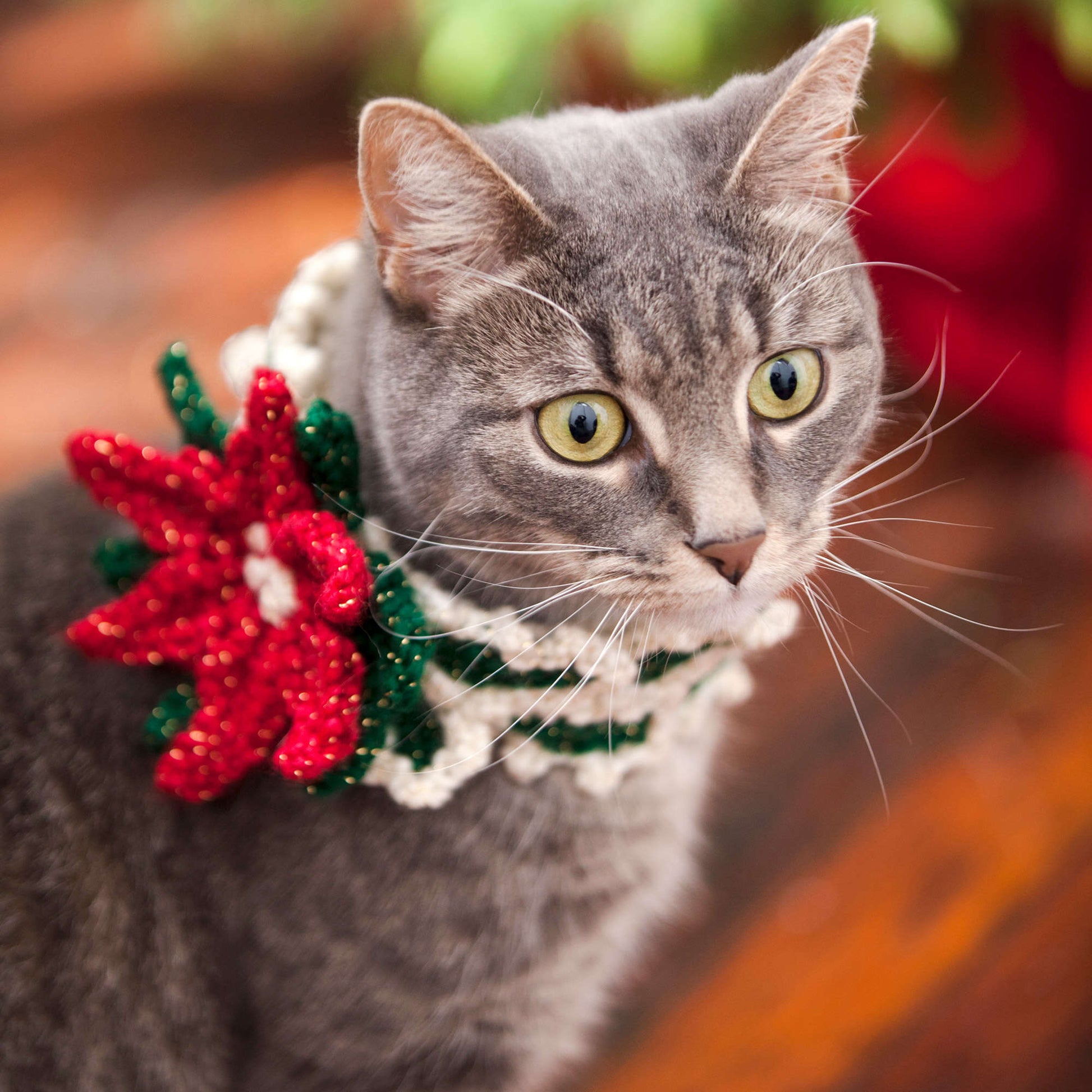 Free Red Heart Crochet Holiday Cat Collar Pattern