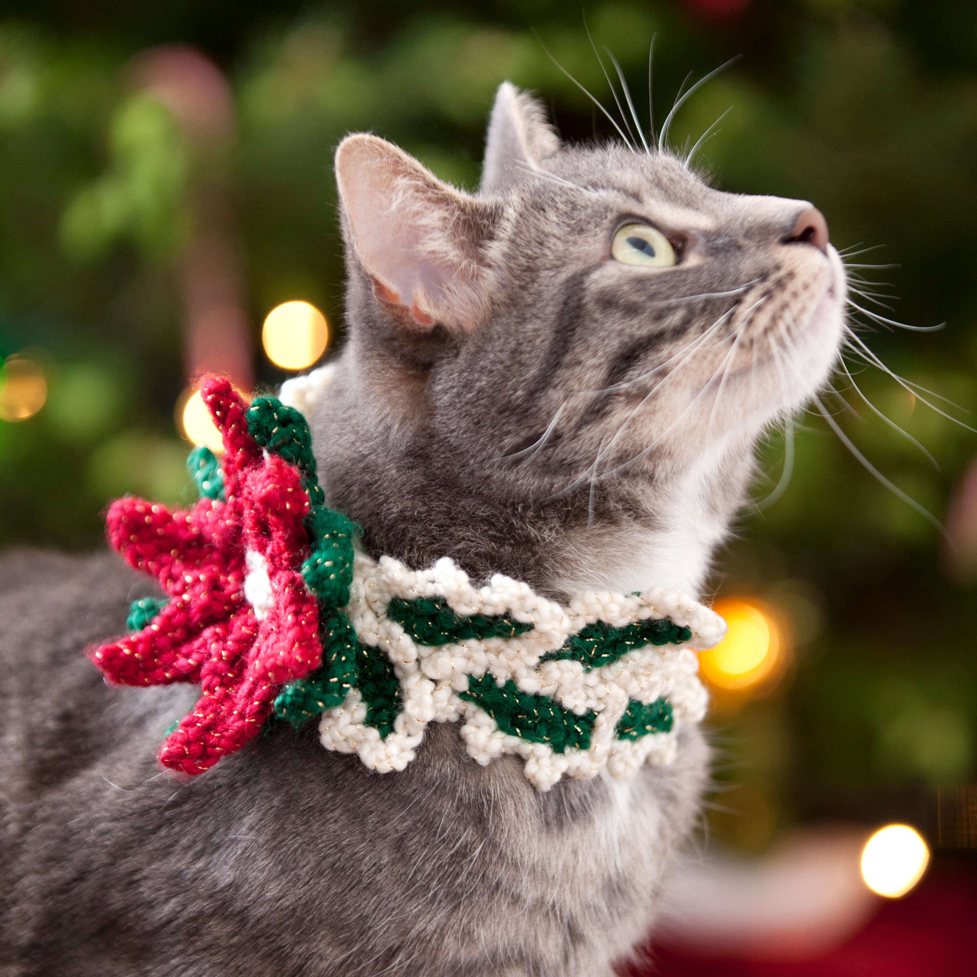 Free Red Heart Holiday Cat Collar Crochet Pattern