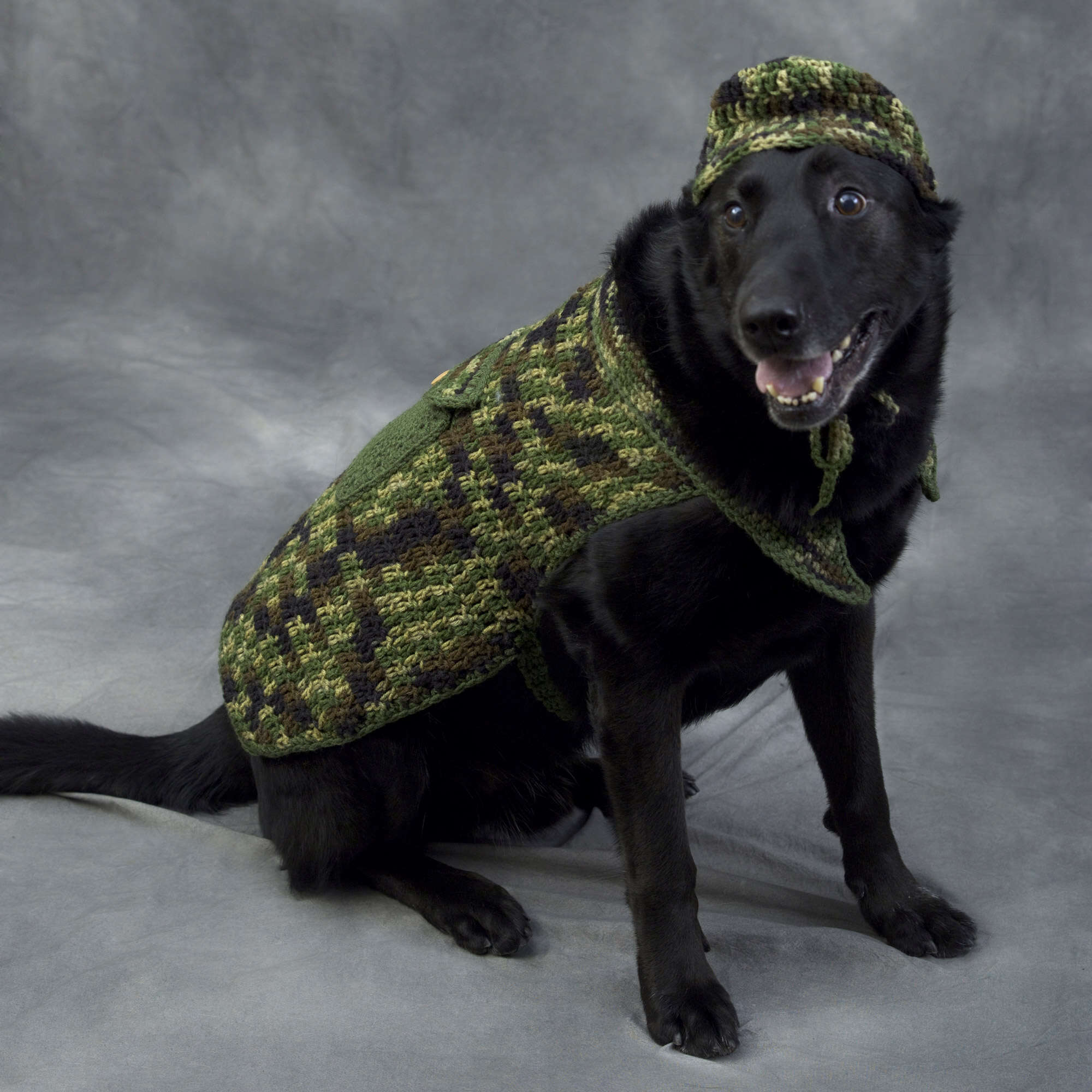 Hunting Dogs Patterns Free Easy Red Heart Hunter Dog Outfit Crochet Pattern | Yarnspirations
