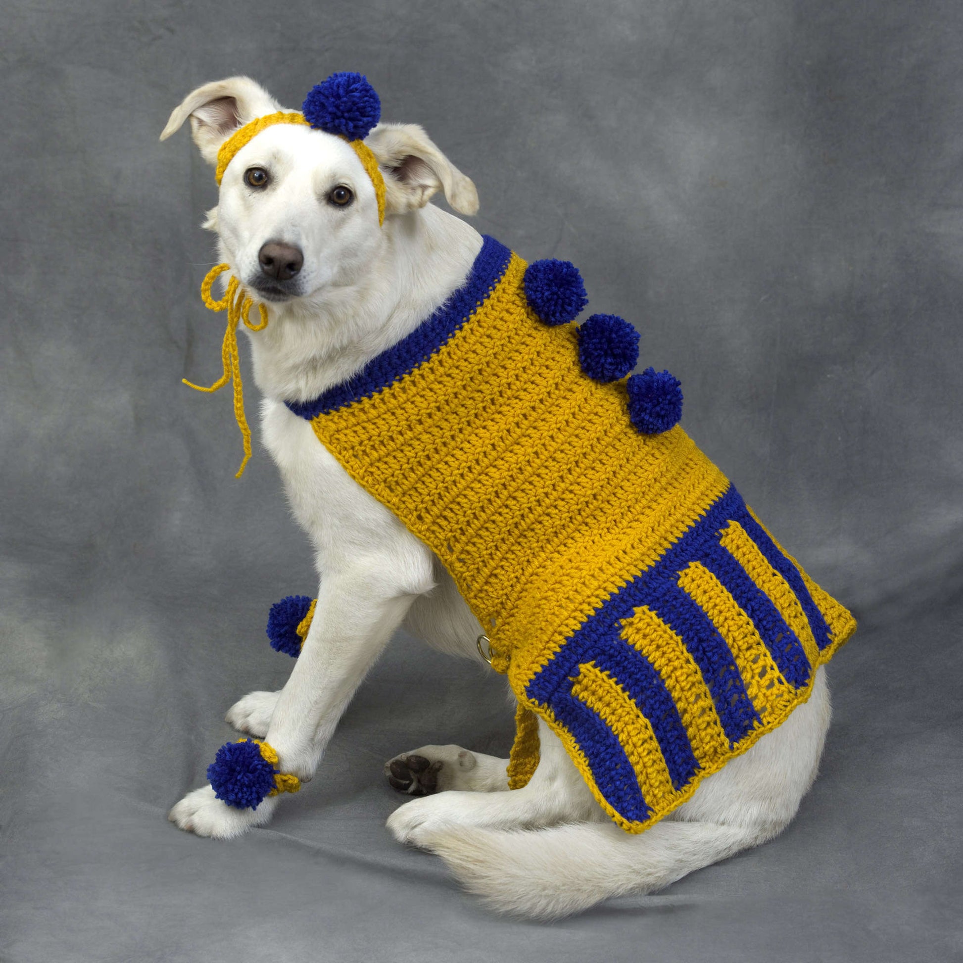 Free Red Heart Crochet Cheerleader Dog Outfit Pattern