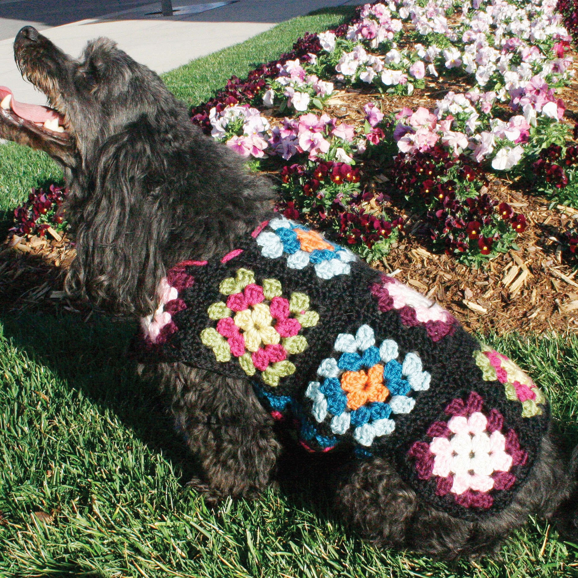 Red Heart Dog's Crochet Granny Square Sweater Red Heart Dog's Crochet Granny Square Sweater