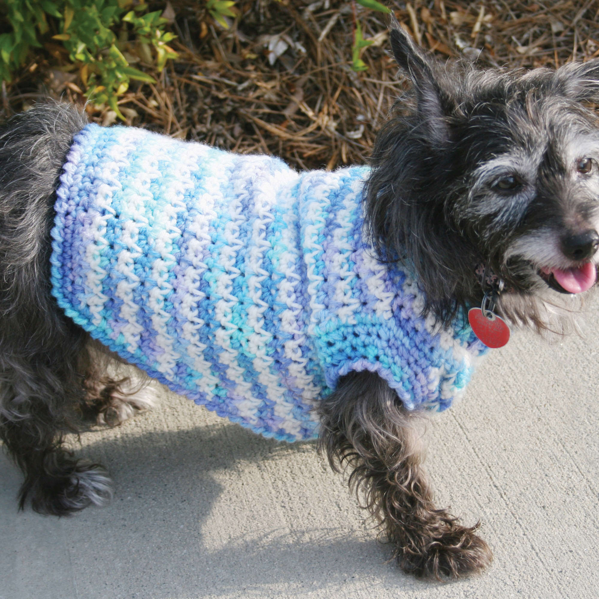 crochet dog dress free pattern Lottie's Spotty Doggy Free Easy Red Heart Dog
