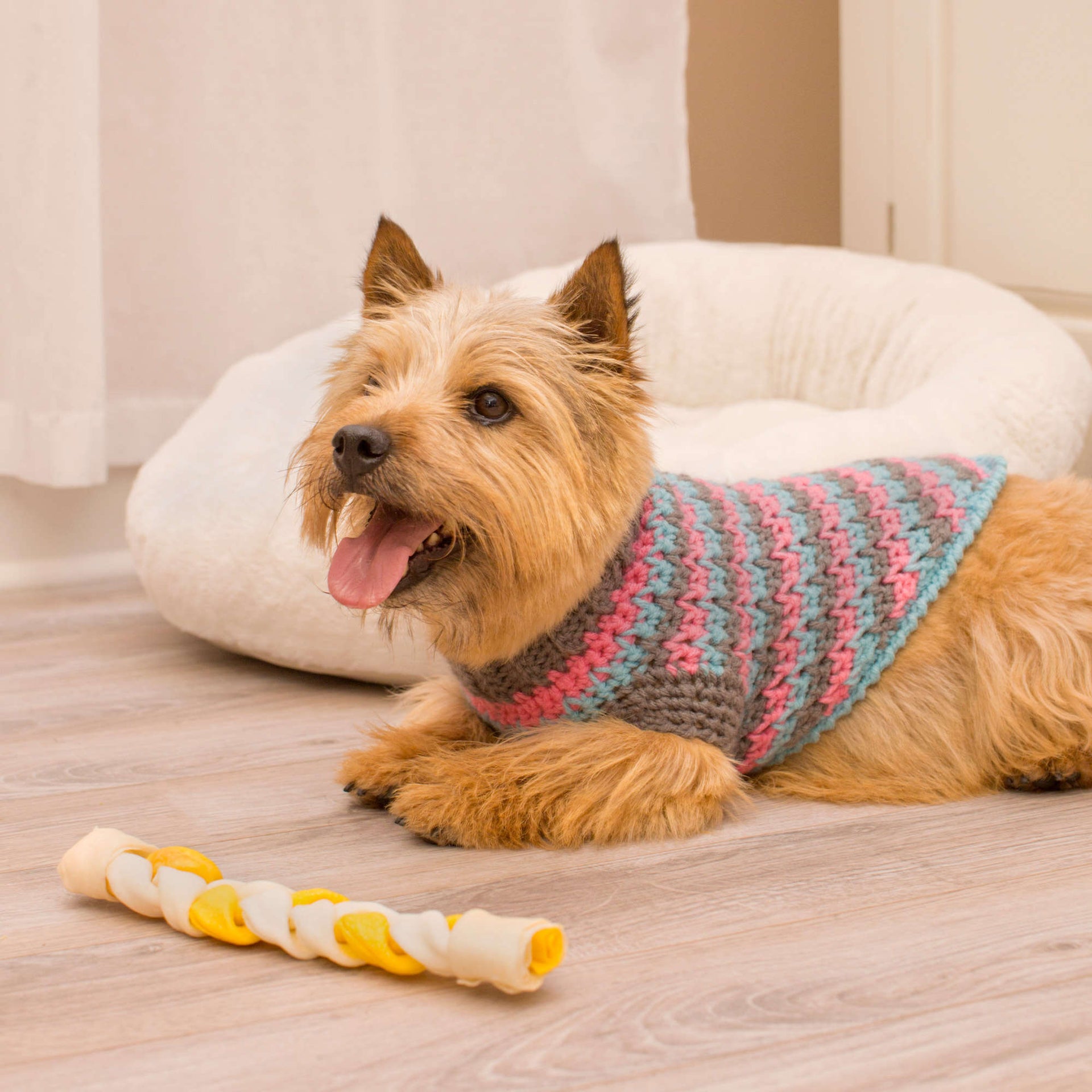 crochet dog sweater Free Red Heart La-Di-Da Dog Sweater Crochet Pattern