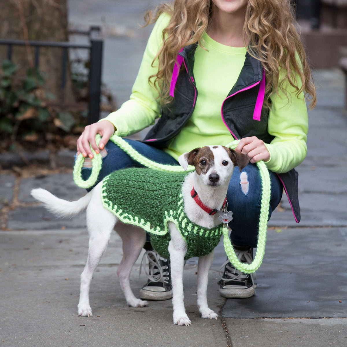 Crochet Leash made in Red Heart Reflective Yarn