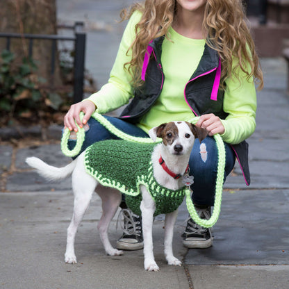 Red Heart Crochet Flashy Dog Sweater and Leash Crochet Leash made in Red Heart Reflective Yarn
