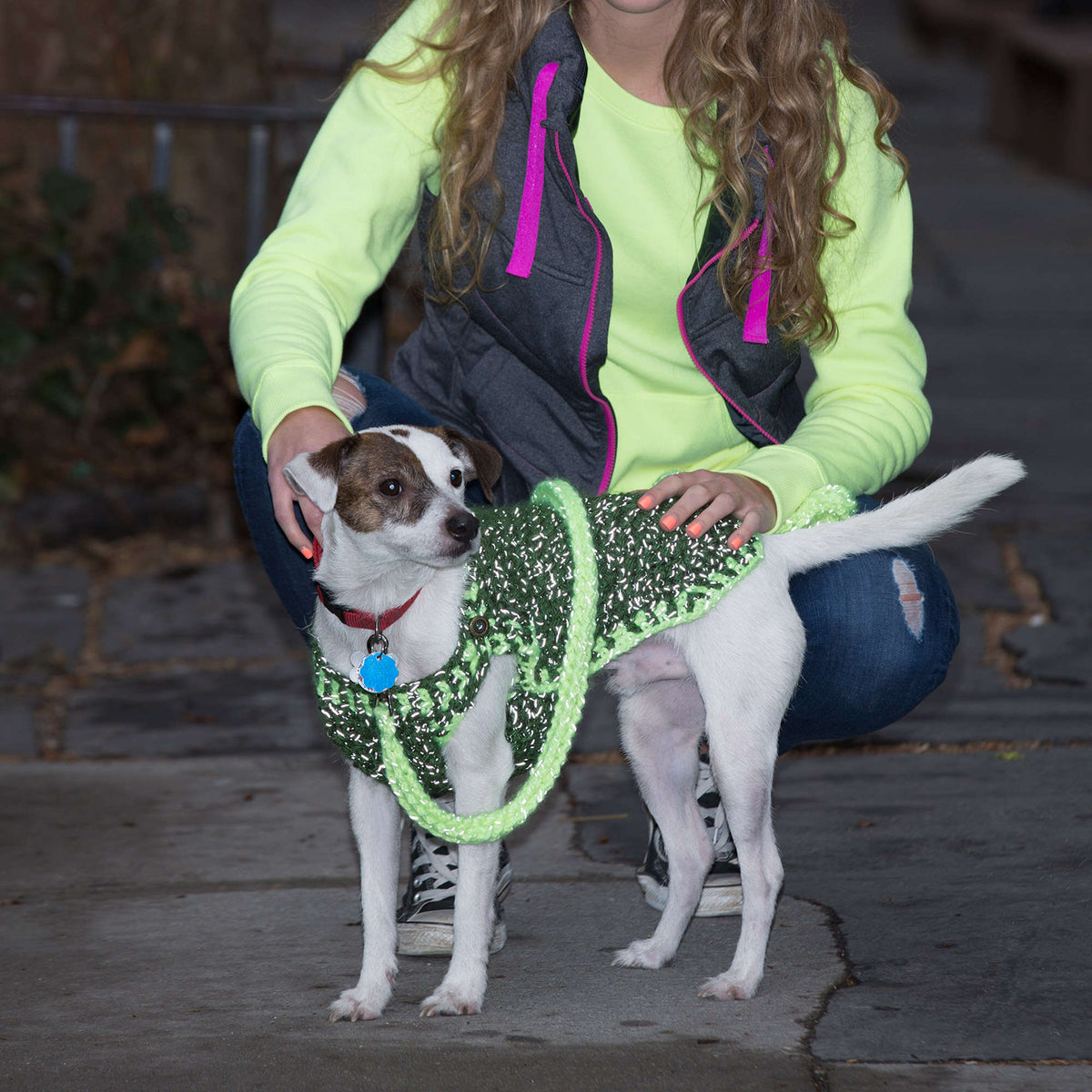 Crochet Leash made in Red Heart Reflective Yarn