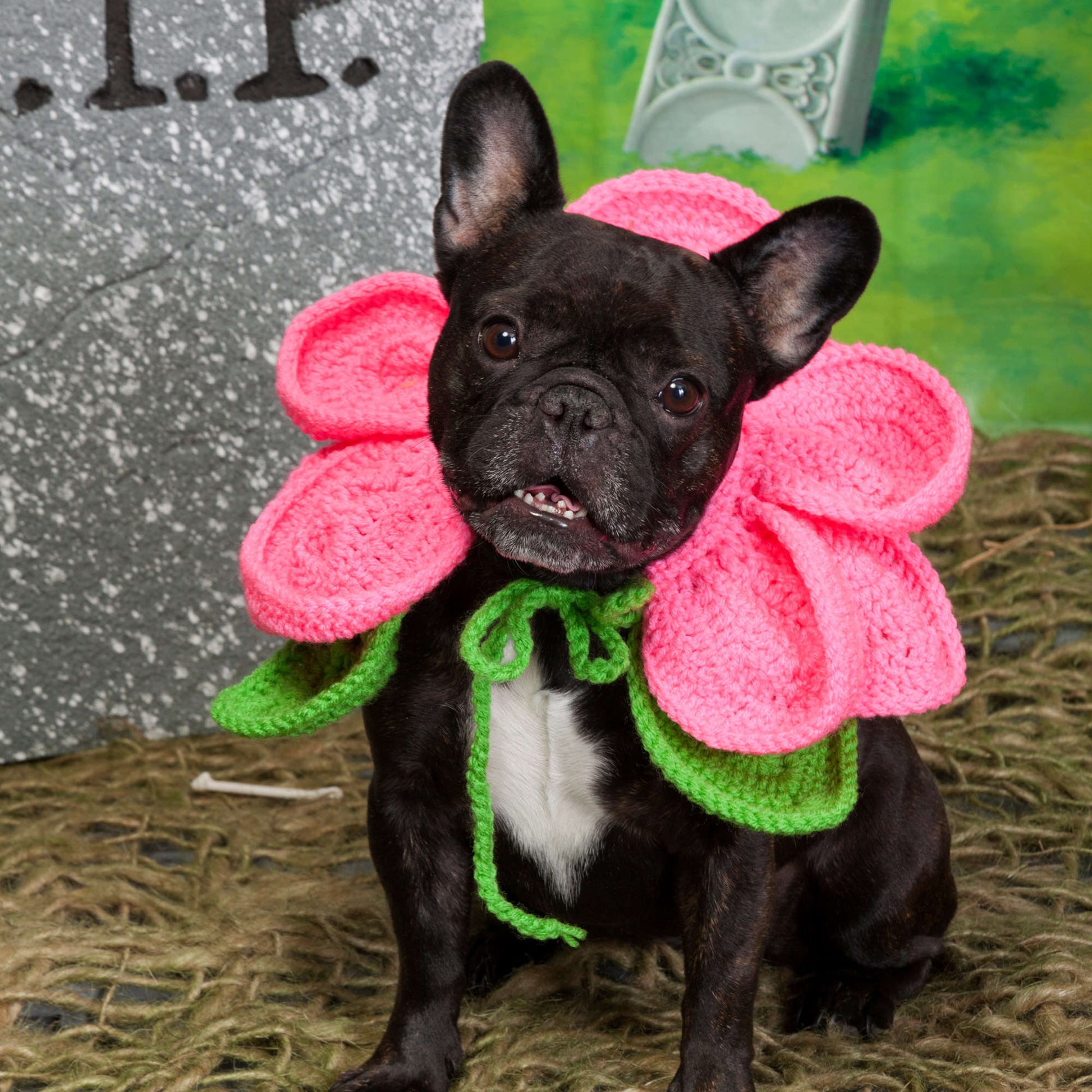 Free Red Heart Crochet Blooming Dog Costume Pattern