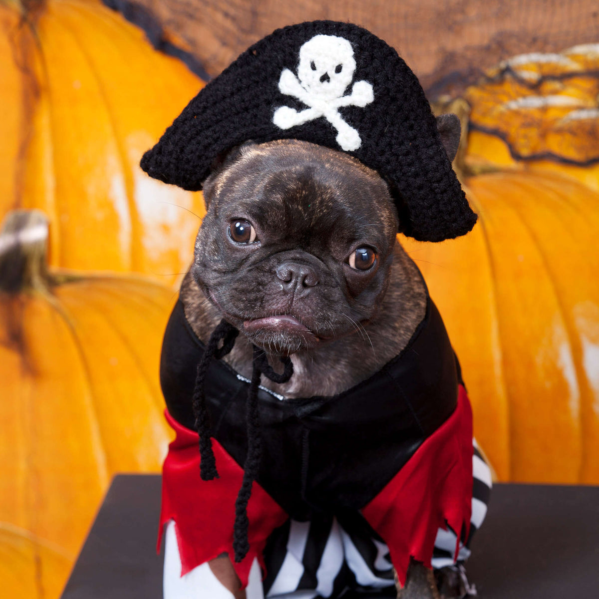 Crochet Hat made in Red Heart Super Saver Yarn