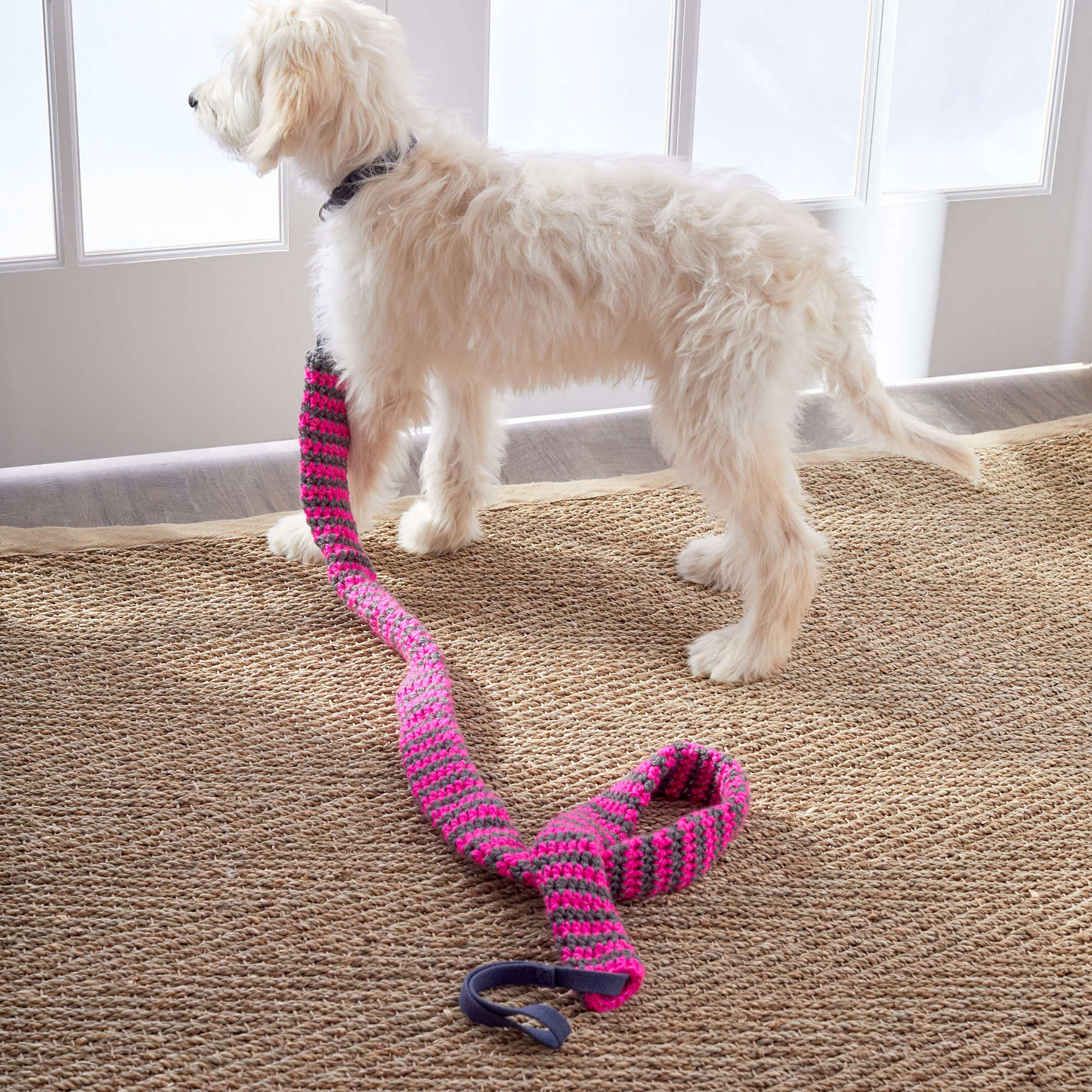 Free Red Heart Crochet Reflective Dog Leash Cover Pattern