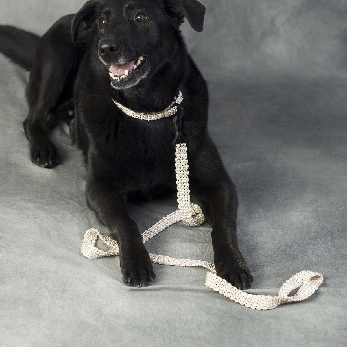 Crochet Leash made in Red Heart Crochet Nylon yarn