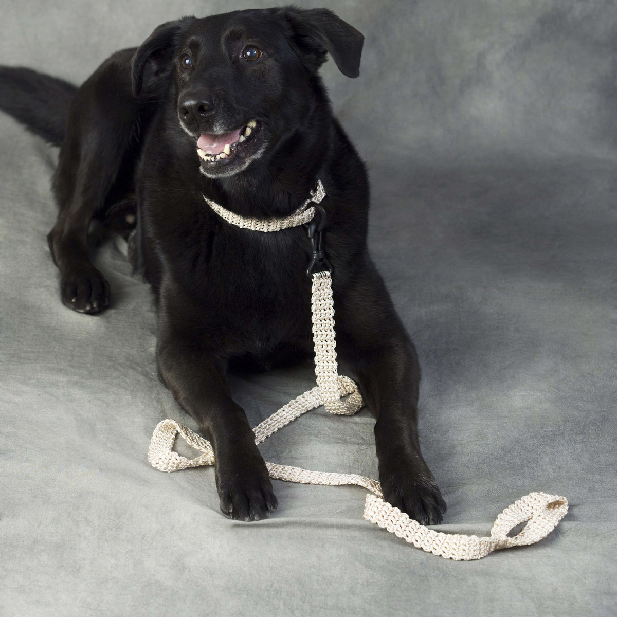 Crochet Leash made in Red Heart Crochet Nylon yarn