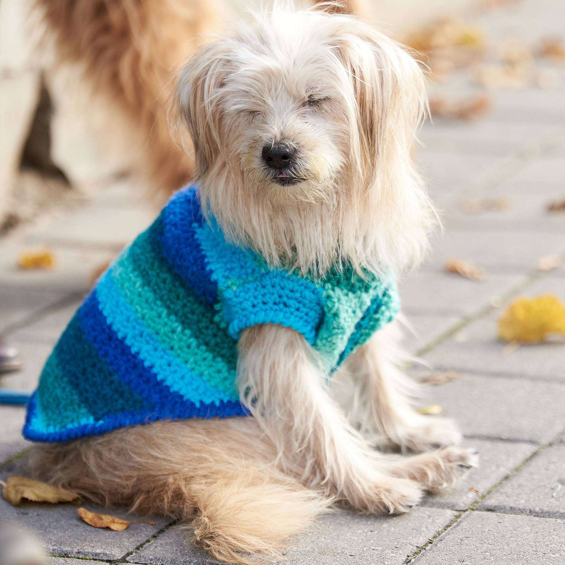 Free Red Heart Crochet Bestie Dog Coat Pattern