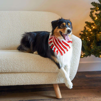 Red Heart Peppermint Crochet Pet Neckerchief Single Size
