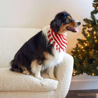 Red Heart Peppermint Crochet Pet Neckerchief Single Size