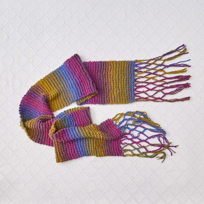 Red Heart Knit Exploration Scarf Knit Scarf made in Red Heart Colorscape Yarn