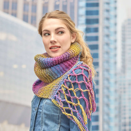 Red Heart Knit Exploration Scarf Knit Scarf made in Red Heart Colorscape Yarn