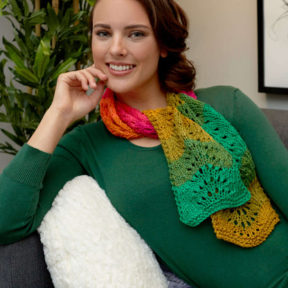 Red Heart Knit Fantastic Ripple Scarf Knit Scarf made in Red Heart Super Saver Yarn