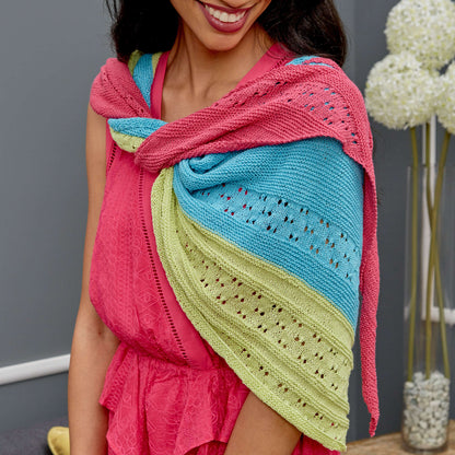 Red Heart Asymmetrical Knit Shawl Knit Shawl made in Red Heart It's a Wrap Yarn