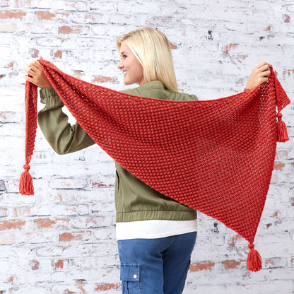 Red Heart Knit Fall Berries Shawl Knit Shawl made in Red Heart Soft Yarn