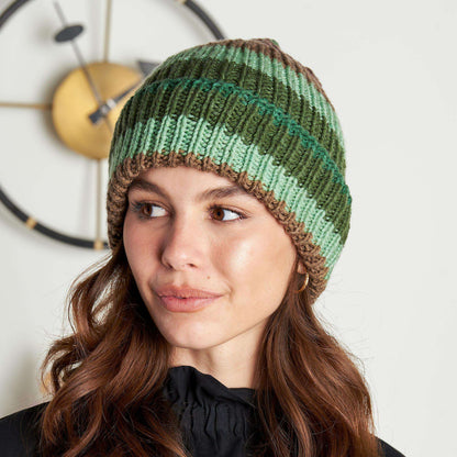 Red Heart Ribbed Knit Beanie Red Heart Super Saver O'Go