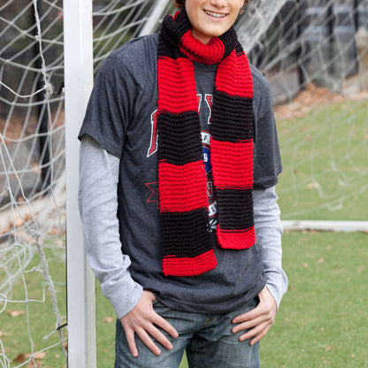 Red Heart Knit Hooray Team Scarf Knit Scarf made in Red Heart Boutique Yarn