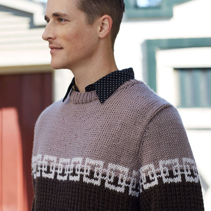 Red Heart Structure Chic Sweater Knit Sweater made in Red Heart Chic Sheep Yarn