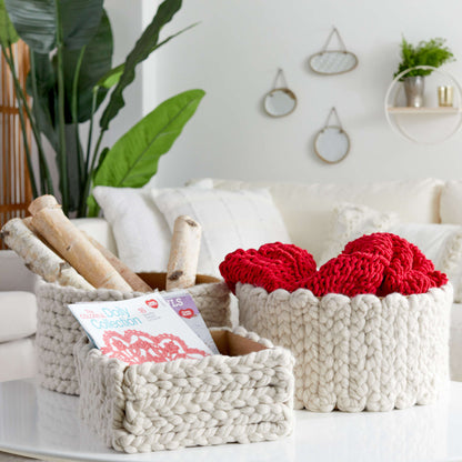 Red Heart Crafty Braided Organizer Boxes Single Size