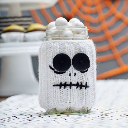 Red Heart Knit Spooky Skeleton Jar Cozy Knit Cozy made in Red Heart Super Saver Yarn