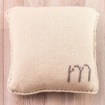 Red Heart Knit Initially Yours Pillow Knit Pillow made in Red Heart Chunky Soft Yarn