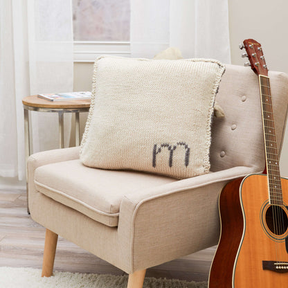 Red Heart Knit Initially Yours Pillow Knit Pillow made in Red Heart Chunky Soft Yarn