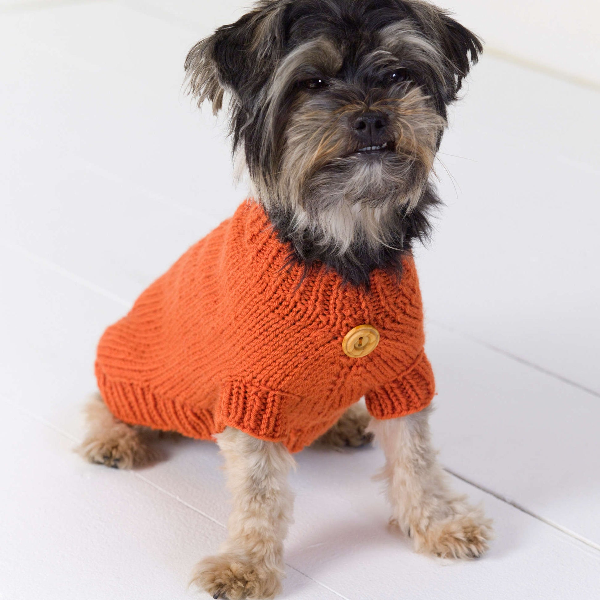 Free Red Heart Dog Sweater Knit Pattern
