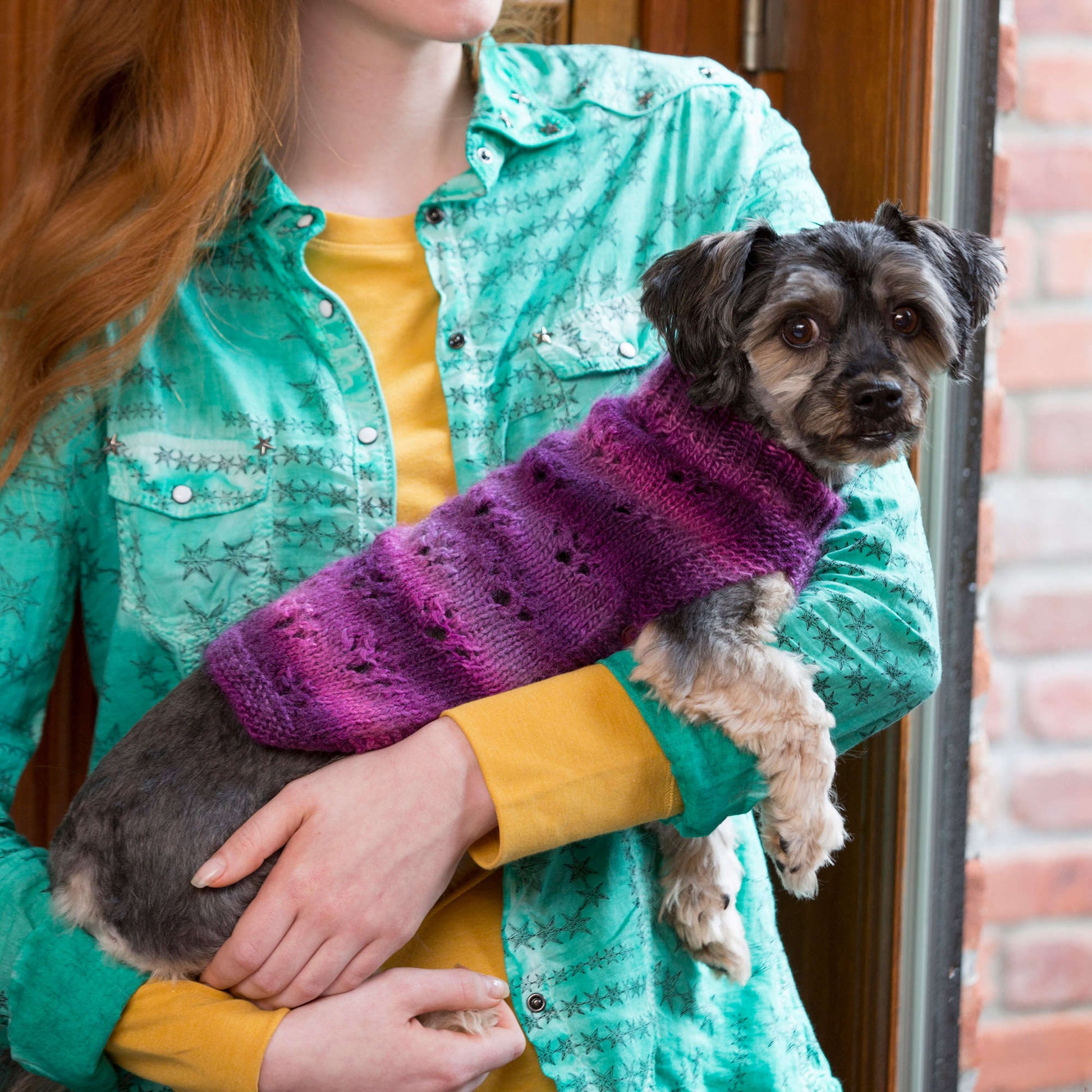 Chihuahua Free Easy Crochet Pattern For Small Dog Sweater CROCHET