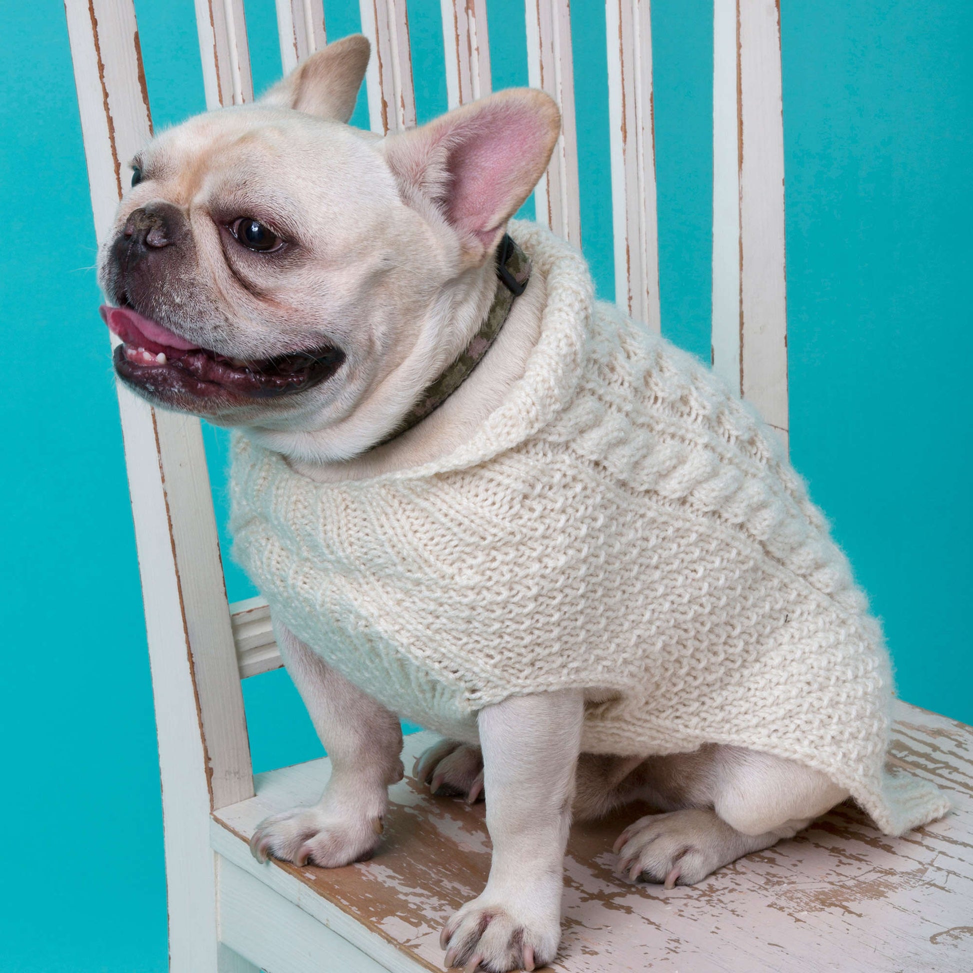 Free Red Heart Cabled Dog Sweater Knitting Pattern Yarnspirations free-red-heart-cabled-dog-sweater-knitting-pattern-yarnspirations