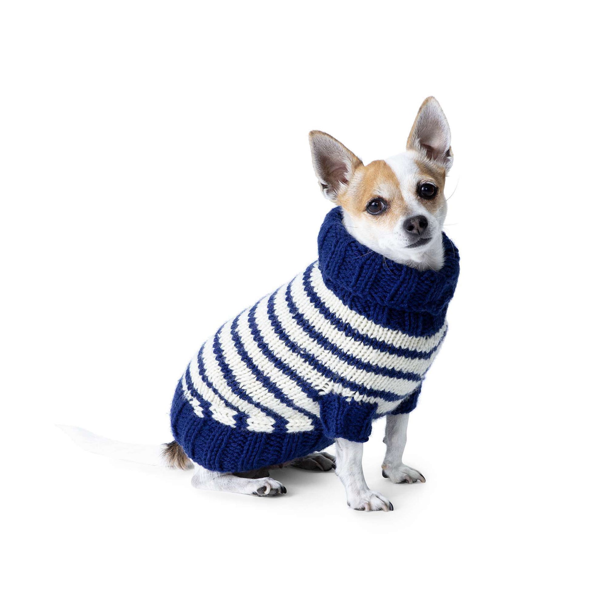 Free Red Heart Striped Knit Dog Coat Pattern