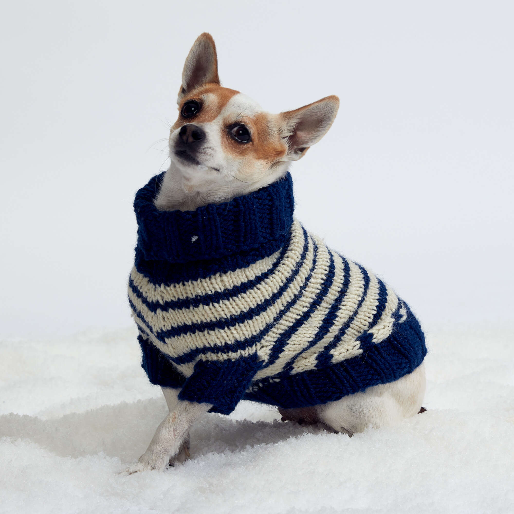Free Easy Red Heart Striped Dog Coat Knitting Pattern | Yarnspirations Free Easy Red Heart Striped Dog Coat Knitting Pattern | Yarnspirations